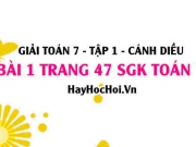 Giải bài 1 trang 47 Toán 7 Tập 1 SGK Cánh Diều